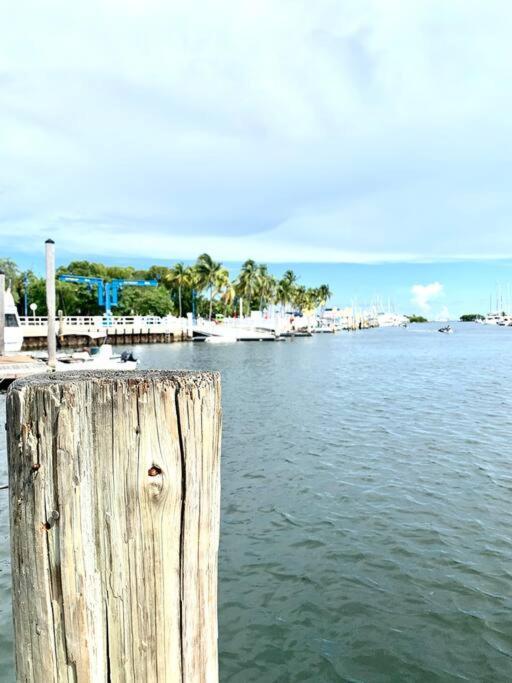 Groveo6 10 Minutes From The Beach Miami Exterior photo